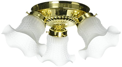 Boston Harbor F6BB03-22013L 5988936 Dimmable Ceiling Light Fixture, (3) 60/13 W Medium A19/Cfl Lamp, Polished