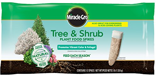 Miracle-Gro Tree & Shrub Plant Food Spikes, 12 Spikes/Pack