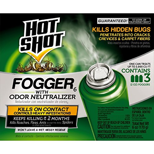 Hot Shot 96180 kkkk, 3 - Count, Multicolor